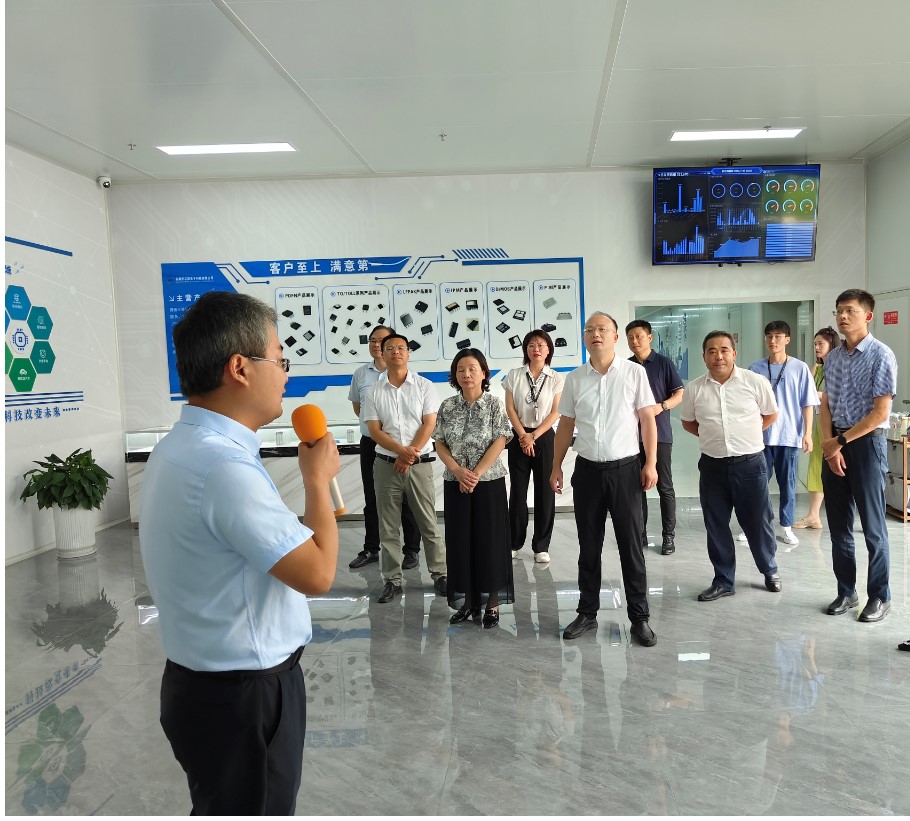 安庆市迎江区党政代表团来我司考察调研